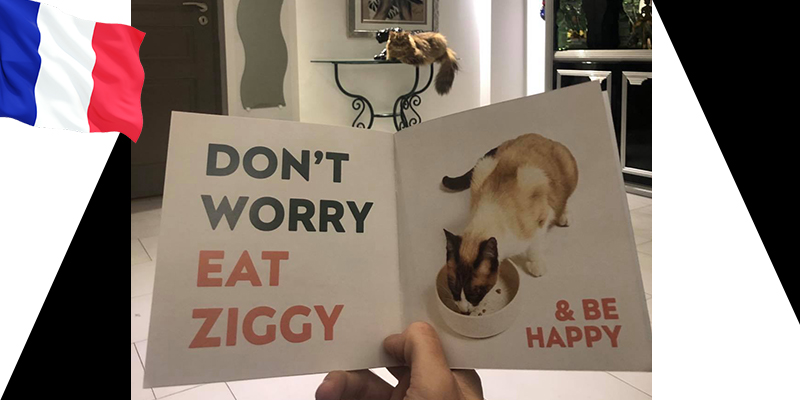 [TEST] Notre avis sur la pâtée pour chats Ziggy