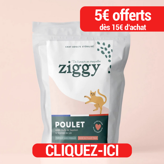 croquettes pour chat ziggy avis