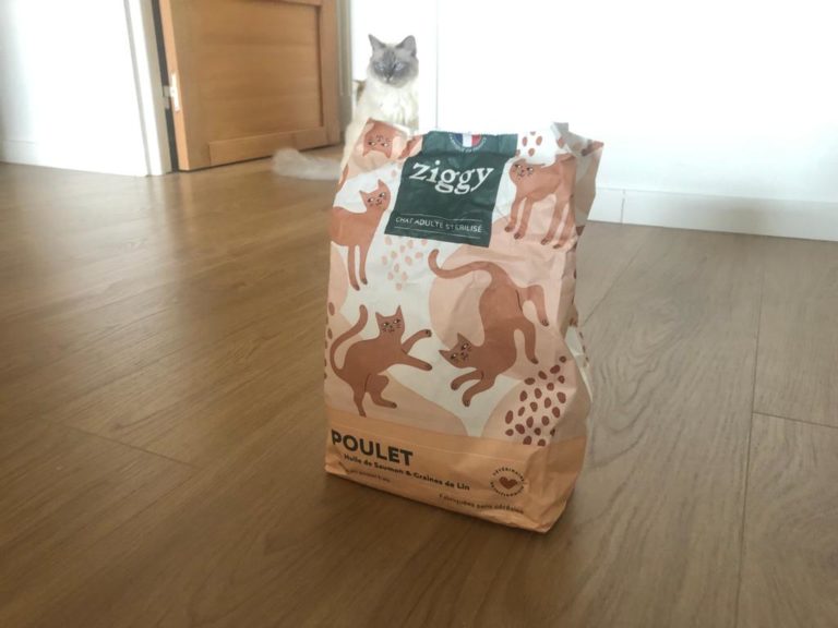 [AVIS] Les premières croquettes pour chats Ziggy ! Le Chat Moderne
