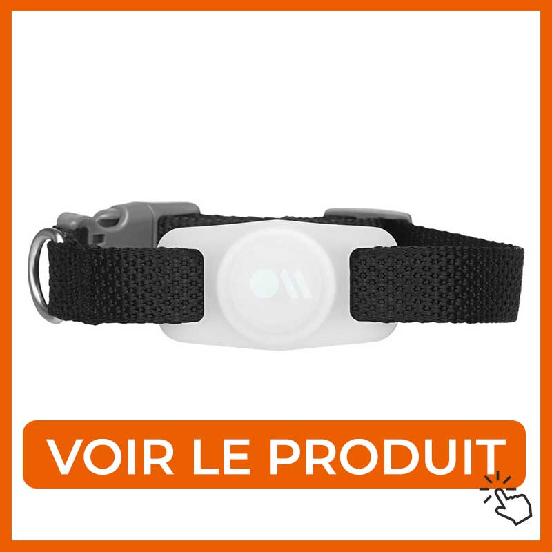 Collier Air tag pour chat