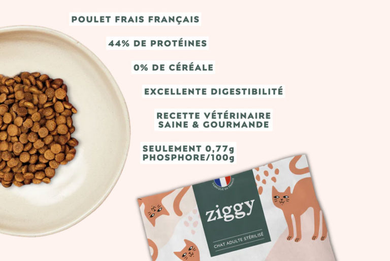 Nouvelle Recette Les croquettes pour chats Ziggy (encore meilleures