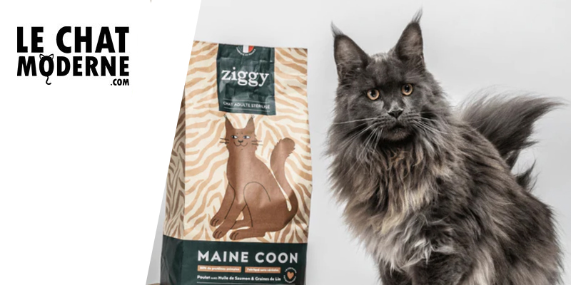 Test et Avis : Les Croquettes Ziggy pour Chats Maine Coon