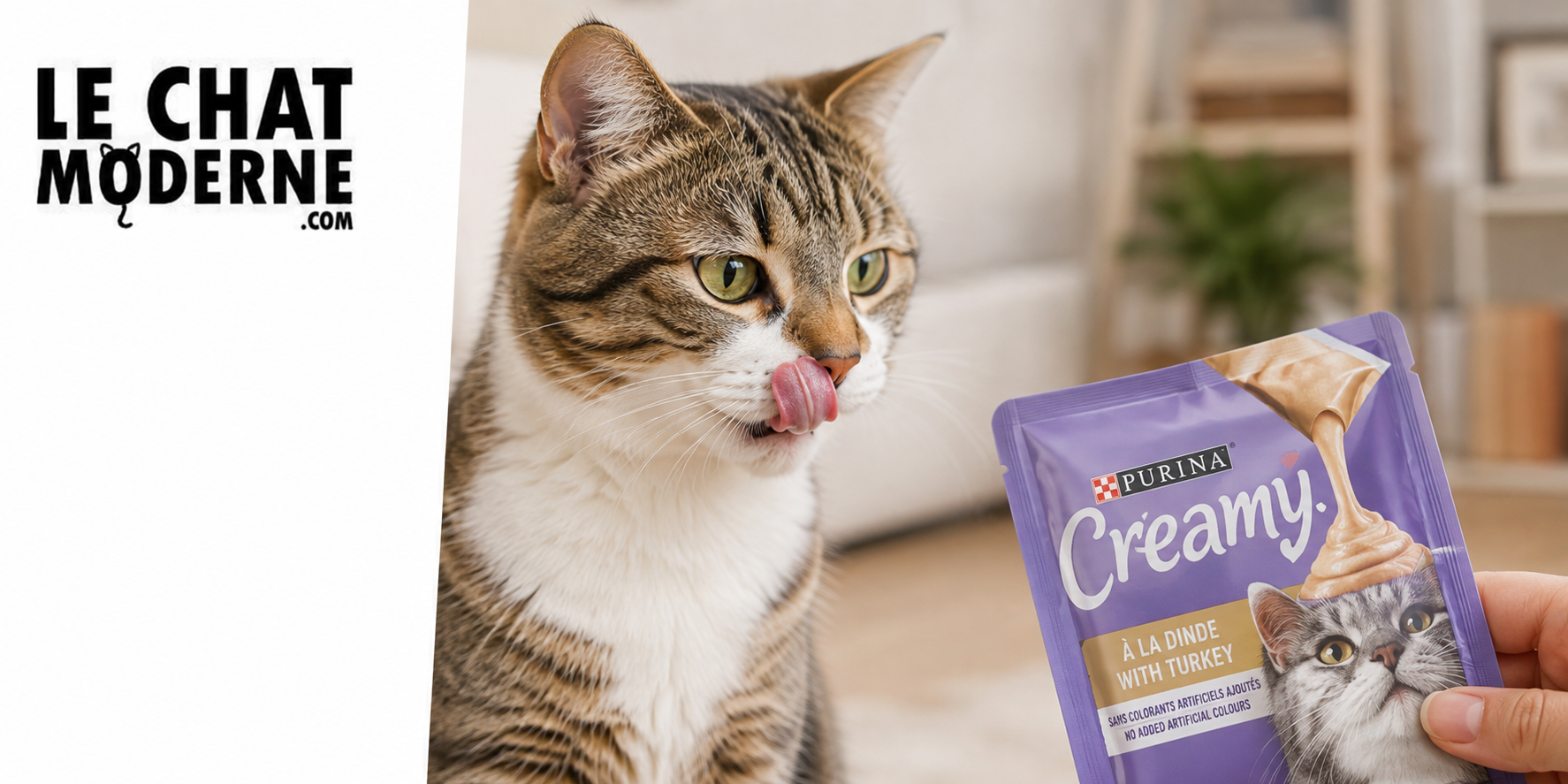 Creamy pour chats : la friandise crémeuse qui fait fondre les félins